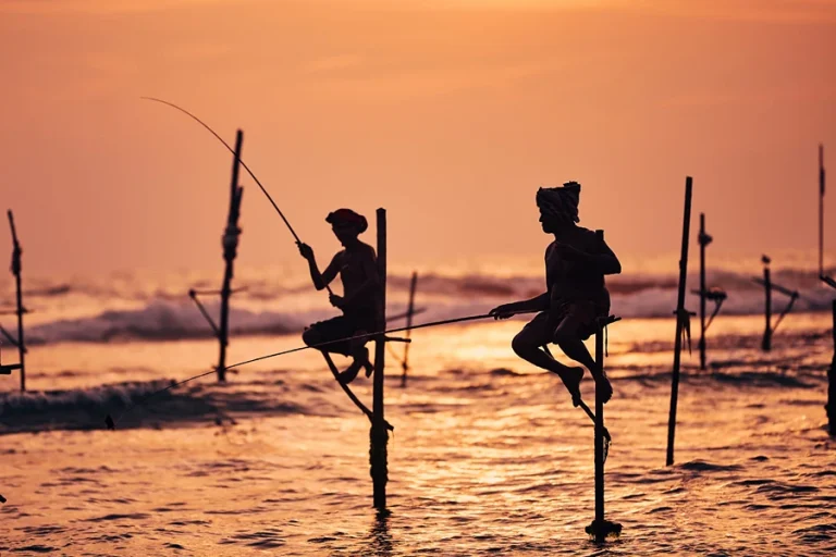 Silhouettes of Sri Lankan stilt fishermen in Galle at sunset, a traditional fishing method by the ocean