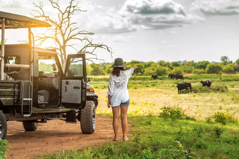 Safari jeep driving through Udawalawe National Park, with wild elephants and lush dry-zone landscape in the background