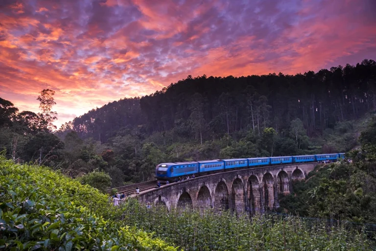 Scenic view of a train crossing the Nine Arch Bridge in Ella, surrounded by lush jungle in Sri Lanka’s hill country