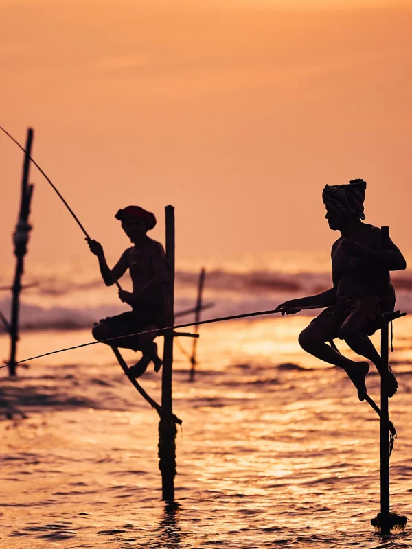 Traditional stilt fishermen at sundown in Galle, Sri Lanka