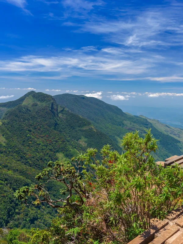 View from the World’s End observation deck in Horton Plains Sri Lanka